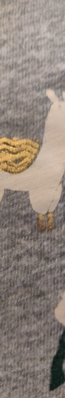 J. Crew Gray Short Sleeve Tee with Llama Print Collectors Addition - Picture 7 of 16